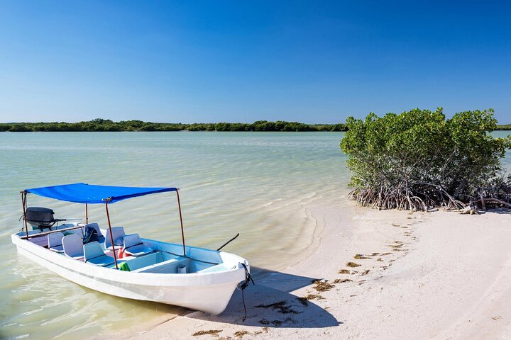Las Coloradas, Río Lagartos en Playa Cancunito-tour vanuit Mérida