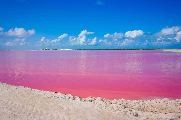 Las Coloradas, Río Lagartos en Playa Cancunito-tour vanuit Mérida