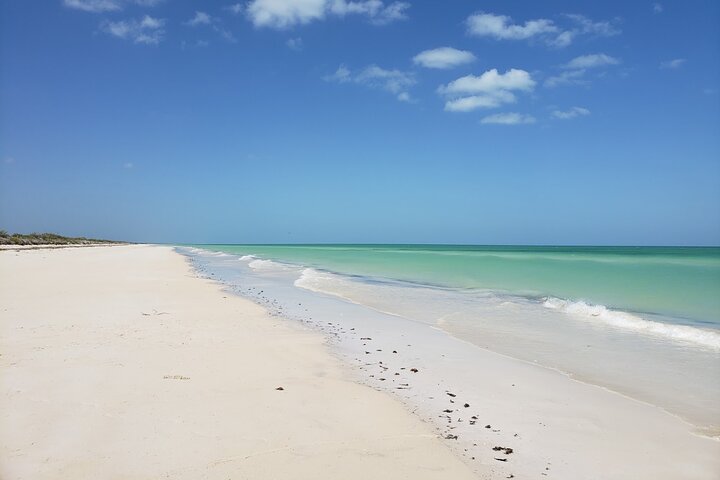 Las Coloradas, Río Lagartos en Playa Cancunito-tour vanuit Mérida