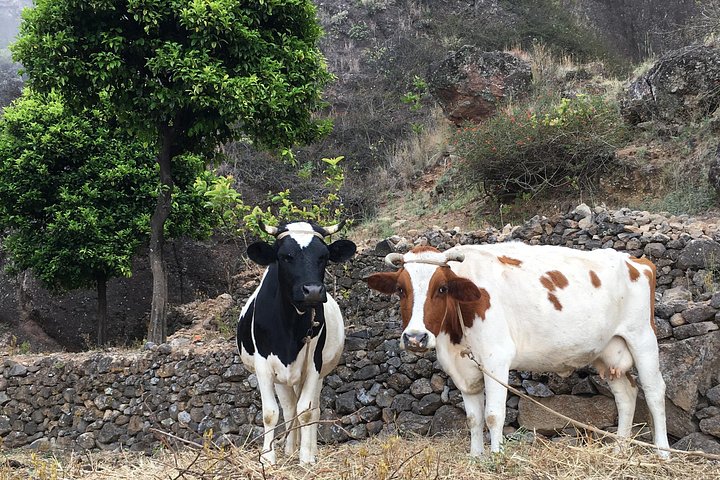 Santo Antão’s Signature Trek: Cova Crater into Paúl Valley – 5K