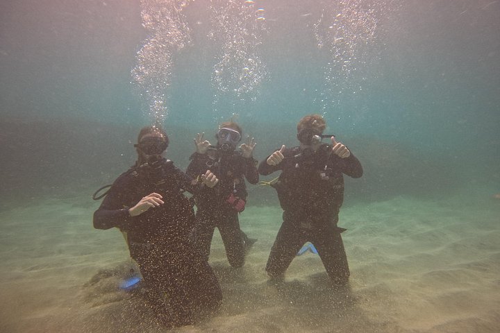 First Diving Experience Try Dive