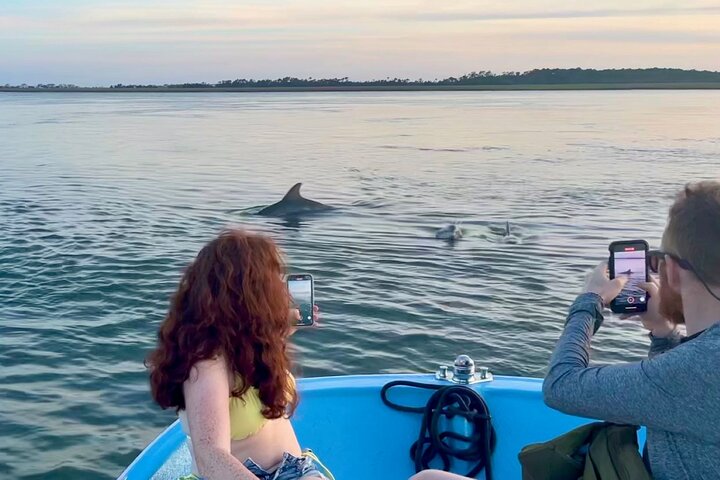 Delfin- und Muschelbeobachtungstour auf Morris Island