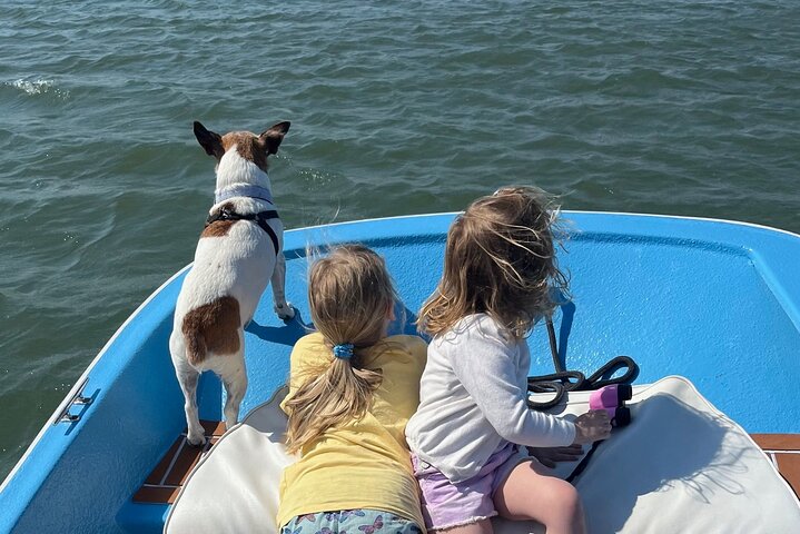 Delfin- und Muschelbeobachtungstour auf Morris Island