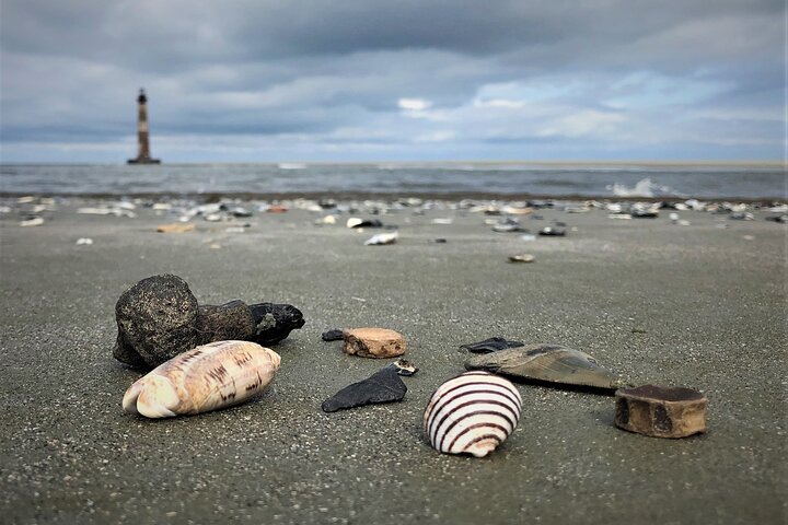 Delfin- und Muschelbeobachtungstour auf Morris Island