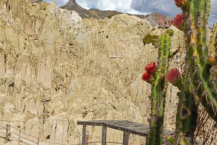 Tour di mezza giornata di Valle de Las Animas, Moon Valley e Killi Killi