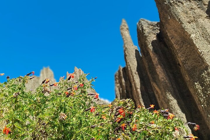 Tour di mezza giornata di Valle de Las Animas, Moon Valley e Killi Killi