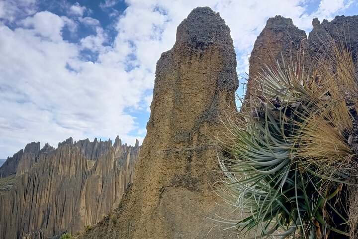 Tour di mezza giornata di Valle de Las Animas, Moon Valley e Killi Killi