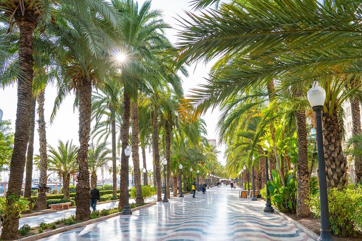 Visite d'Alicante : Visite complète de la ville, du château, du marché et des tapas
