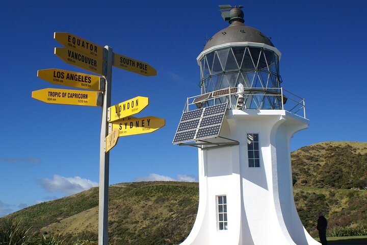 Tour dell'estremo nord della Nuova Zelanda con 90 miglia di spiaggia e Capo Reinga da Paihia