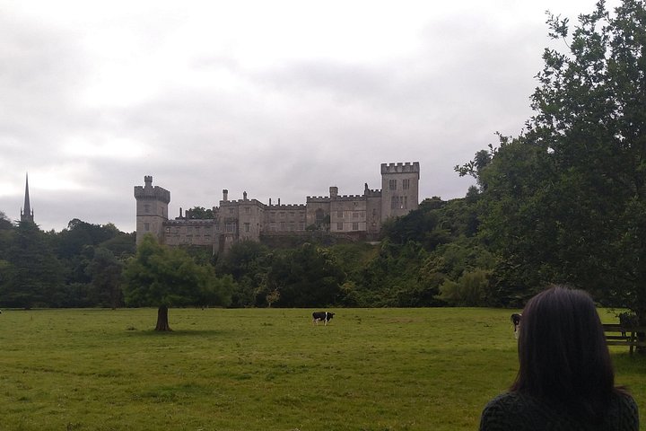 Tour privado del majestuoso valle de Blackwater desde Cork