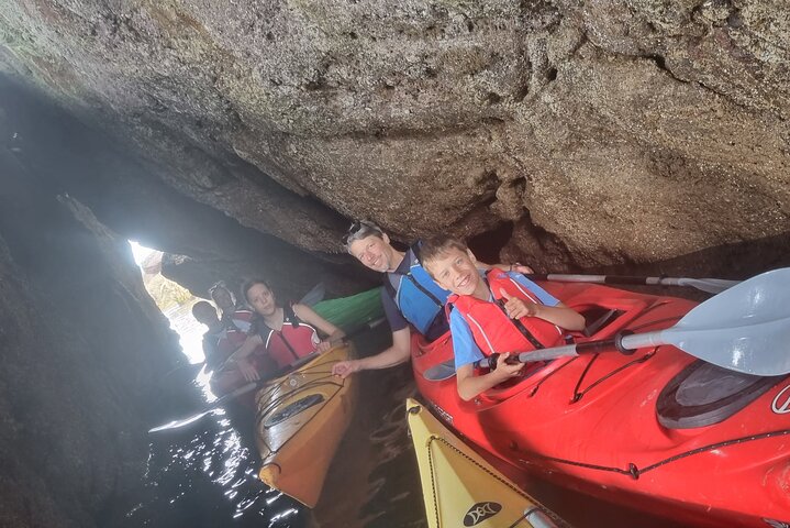 Safari en kayak de fauna, cuevas marinas y arbustos en Riviera Inglés