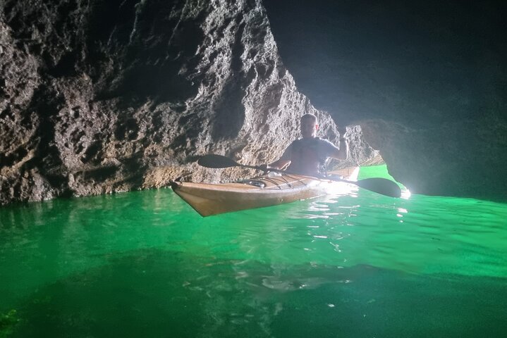 Safari en kayak de fauna, cuevas marinas y arbustos en Riviera Inglés