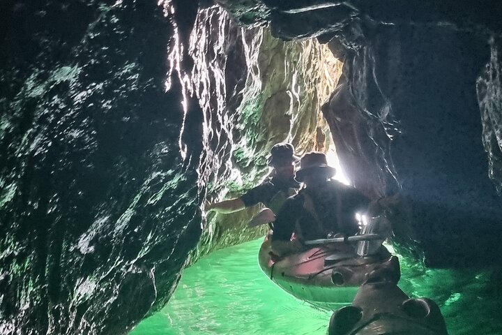Safari en kayak de fauna, cuevas marinas y arbustos en Riviera Inglés