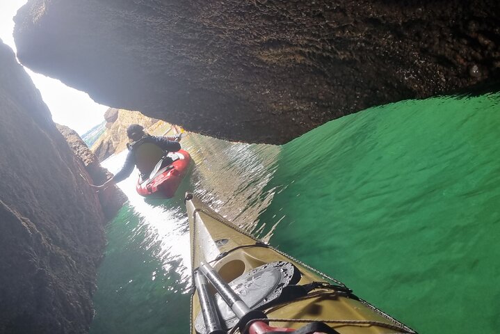 Safari en kayak de fauna, cuevas marinas y arbustos en Riviera Inglés