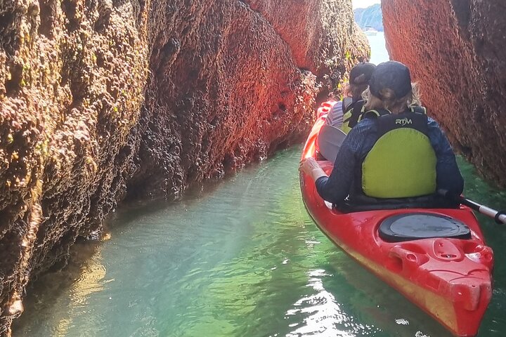 Safari en kayak de fauna, cuevas marinas y arbustos en Riviera Inglés