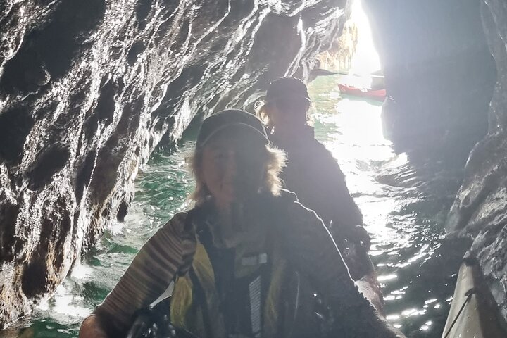 Safari en kayak de fauna, cuevas marinas y arbustos en Riviera Inglés