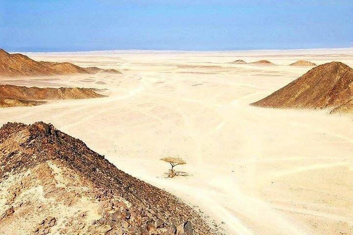 Quadrijden en kameelrijden met bedoeïenenshow in Marsa Alam