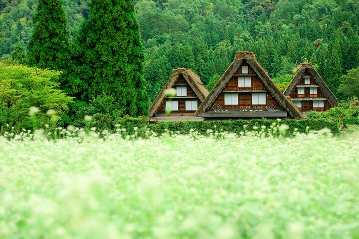 Gujo, Hida Takayama og Shirakawa-go-dagstur fra Nagoya