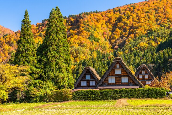 Gujo, Hida Takayama og Shirakawa-go-dagstur fra Nagoya