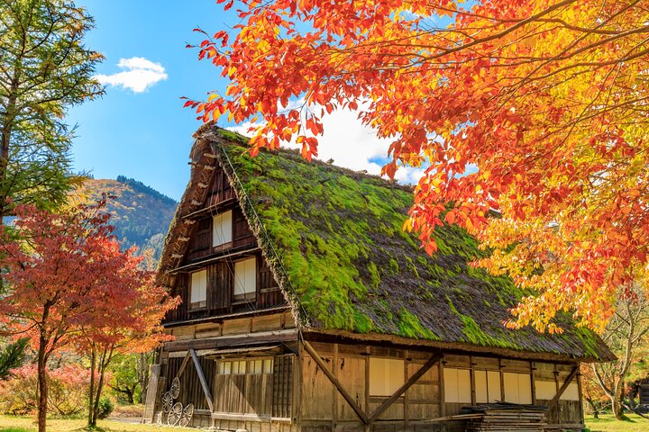 Gujo, Hida Takayama og Shirakawa-go-dagstur fra Nagoya