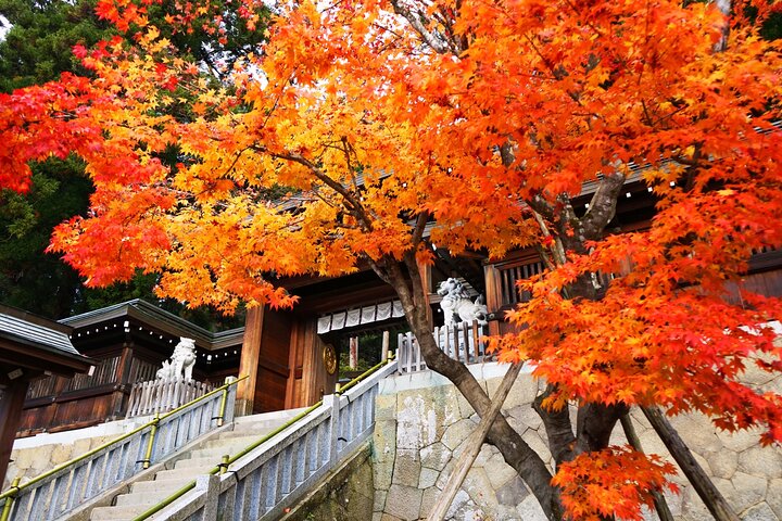 Gujo, Hida Takayama og Shirakawa-go-dagstur fra Nagoya