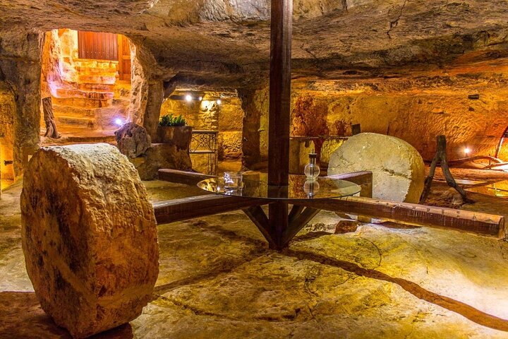 Ostuni: Degustazione di Olio Extra Vergine di Oliva in Masseria