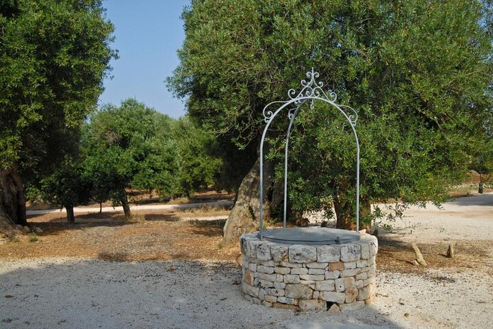 Ostuni: Degustazione di Olio Extra Vergine di Oliva in Masseria