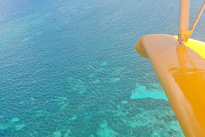 Experiencia privada en hidroavión ultraligero en Guadalupe