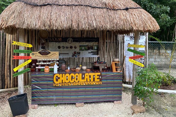 ATV 4×4+Cenote+Snorkeling+Beach Club+ Lunch+Sabores de Cozumel
