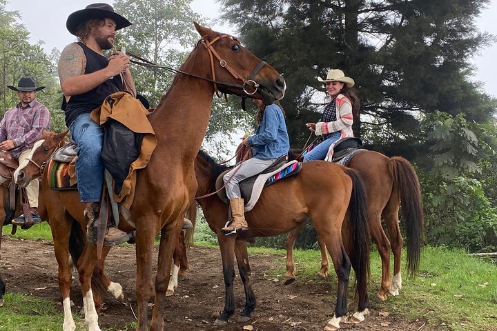 Hoteller i nærheden af Puerto Quetzal Pacaya Volcano Horseback Ride