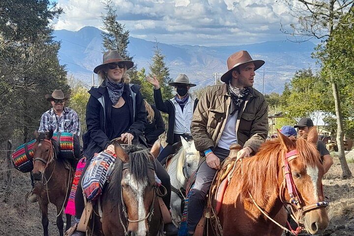 Hoteller i nærheden af Puerto Quetzal Pacaya Volcano Horseback Ride