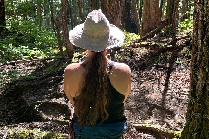 Alaska Natura Immersione: Tour di terapia forestale a Haines, Alaska