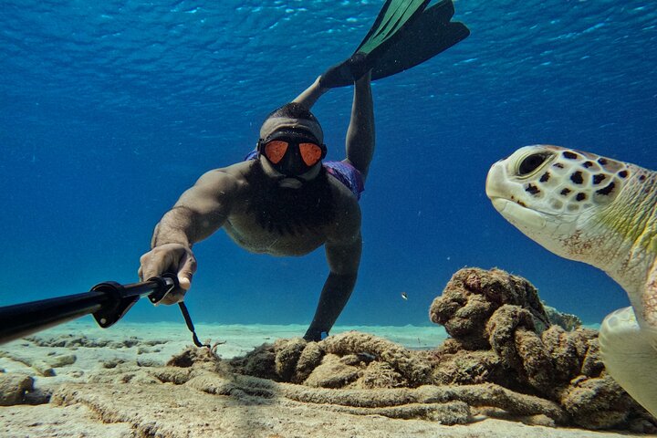 Curaçao Seabob in Playa Piskado Adventure with Sea Turtles