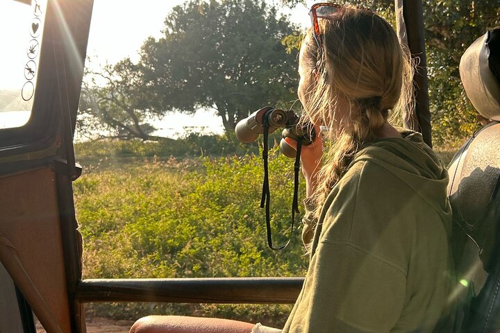 Yala, Udawalawa Safari Desde Ella, Mirissa, Hiriketiya, Tangalle