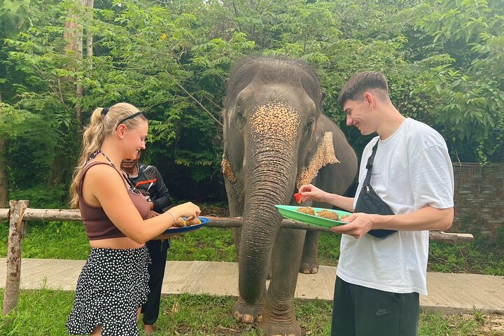 Tour di 6 ore sulla cura degli elefanti e nella giungla in fuoristrada a Koh Samui