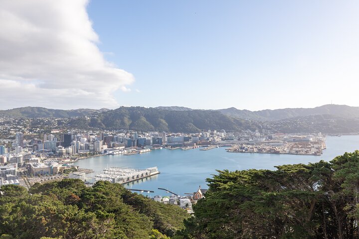 1/2-tägige Wellington Tour inkl. Seilbahn (Vans ohne Busse)
