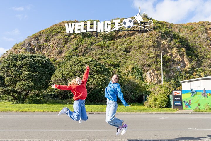 1/2-tägige Wellington Tour inkl. Seilbahn (Vans ohne Busse)