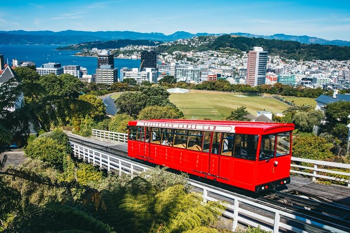 1/2-tägige Wellington Tour inkl. Seilbahn (Vans ohne Busse)