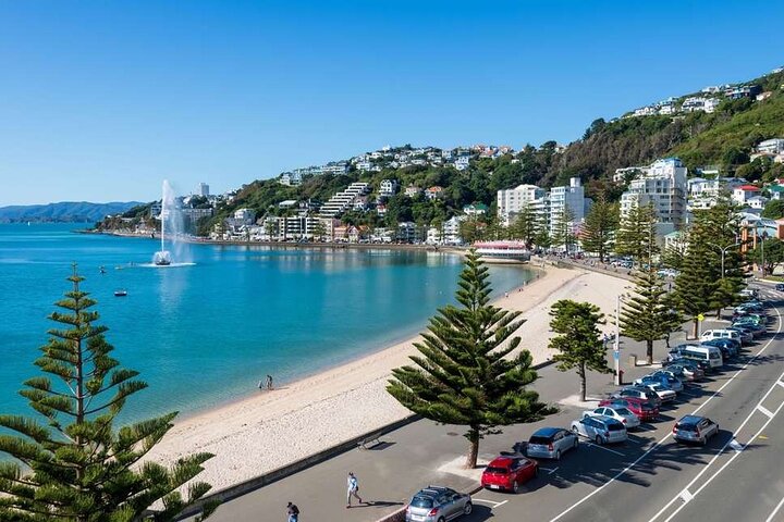 1/2-tägige Wellington Tour inkl. Seilbahn (Vans ohne Busse)