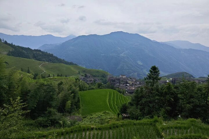 Terrazze di riso Longji con tour privato di un giorno al Minority Village