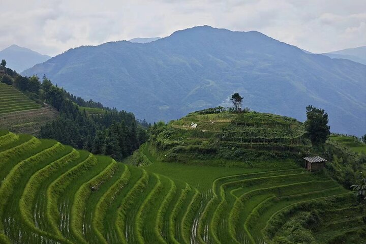 Terrazze di riso Longji con tour privato di un giorno al Minority Village
