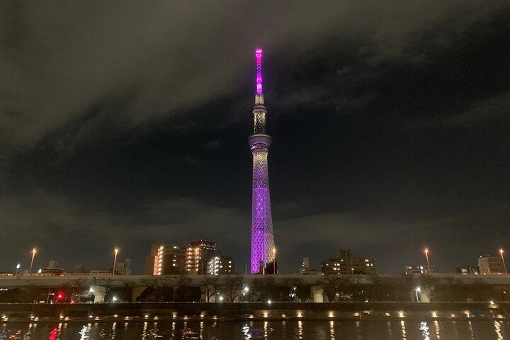 Scalo a Tokyo: Tour Privato di 5 Ore con Prelevamento Aeroportuale