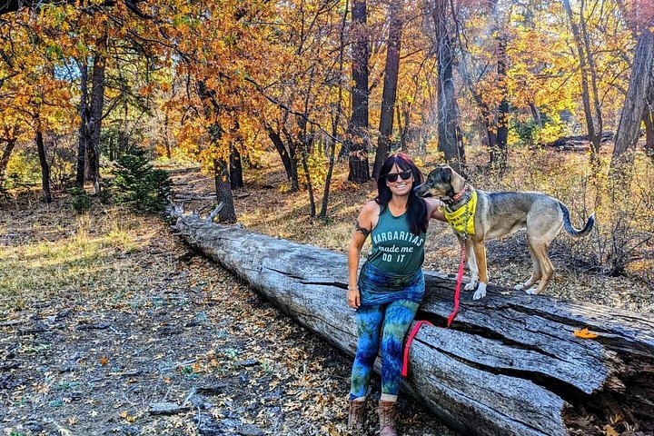 Excursión de senderismo por los colores del otoño de Big Bear en el sur de California