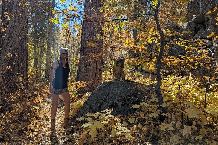 Excursión de senderismo por los colores del otoño de Big Bear en el sur de California