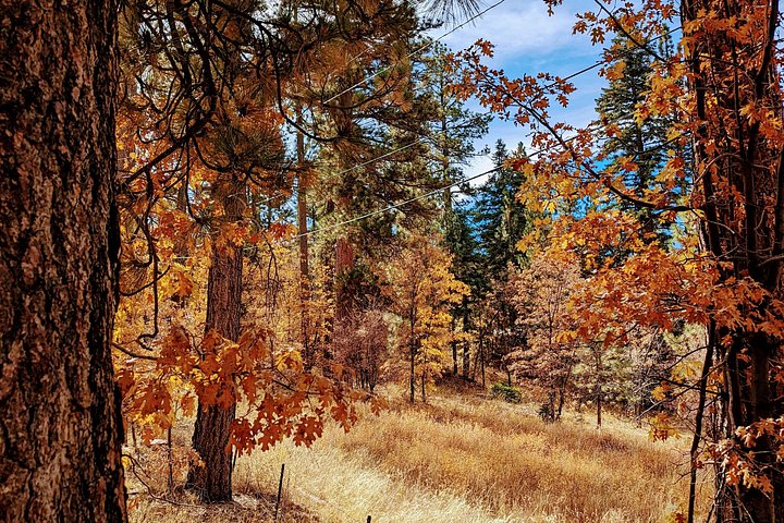 Excursión de senderismo por los colores del otoño de Big Bear en el sur de California