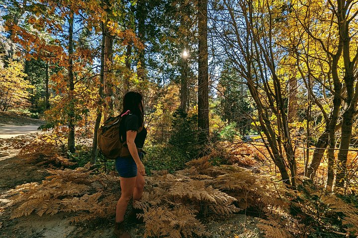 Excursión de senderismo por los colores del otoño de Big Bear en el sur de California