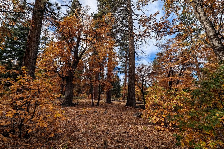Excursión de senderismo por los colores del otoño de Big Bear en el sur de California