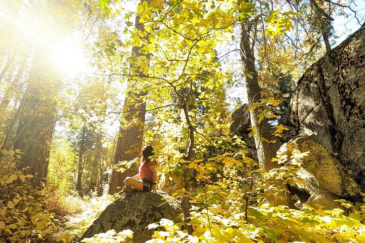 Excursión de senderismo por los colores del otoño de Big Bear en el sur de California