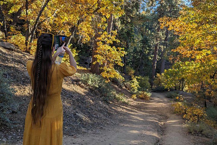 Excursión de senderismo por los colores del otoño de Big Bear en el sur de California