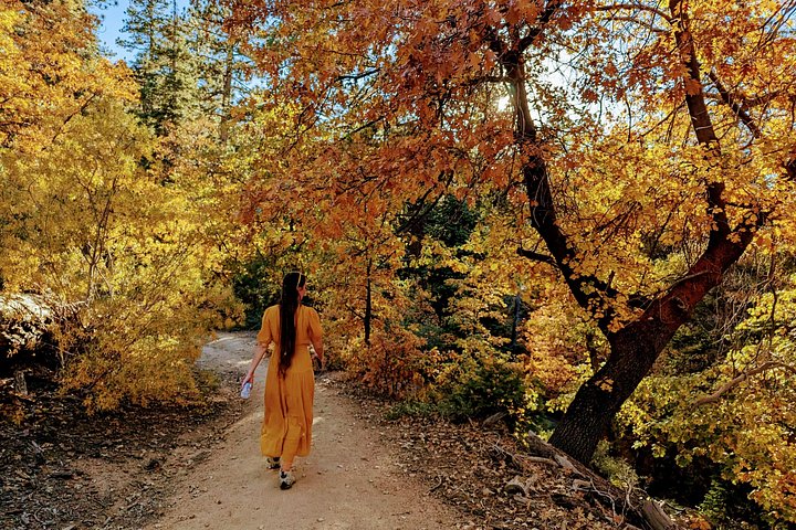 Excursión de senderismo por los colores del otoño de Big Bear en el sur de California